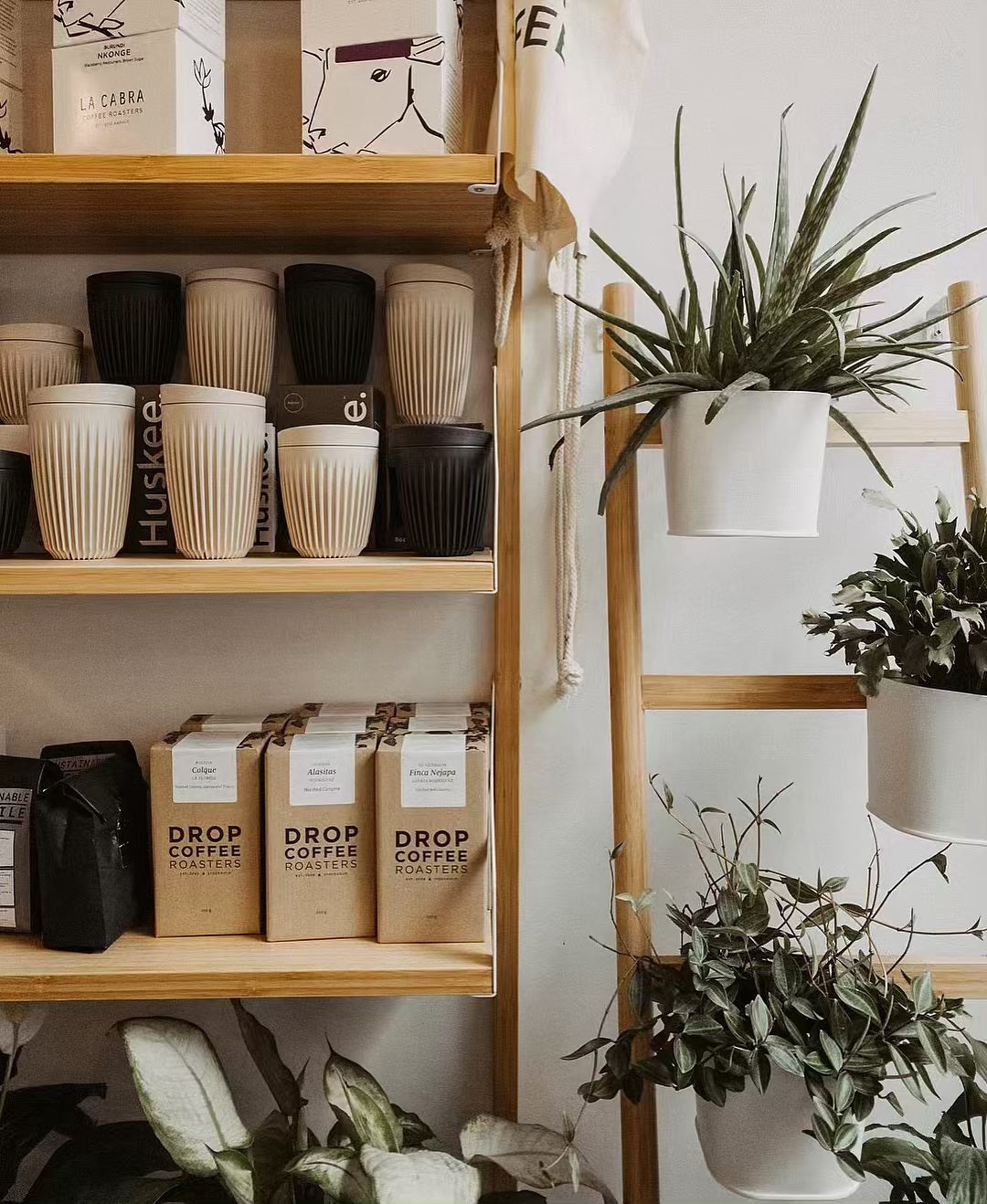 Wholesale Reusable Coffee Cups for Gift Shops & Boutiques